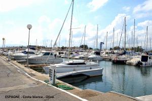 209- Oliva